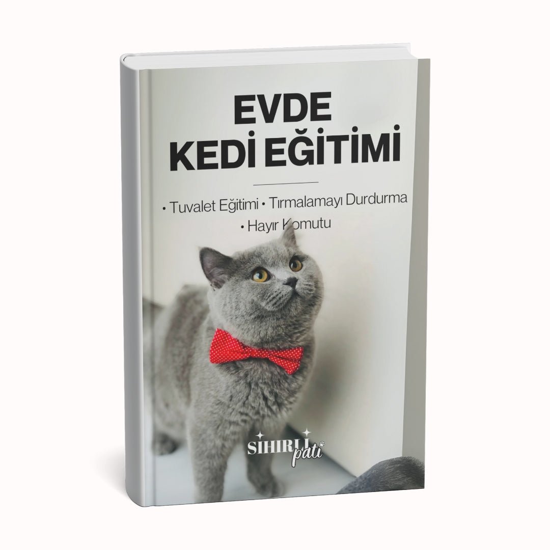 Evde Kedi Eğitimi Rehberi (Tuvalet Eğitimi, Tırmalamayı Durdurma, Hayır Komutu...)